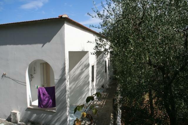 Apartament Casa Vacanze Pizzone Peschici Zewnętrze zdjęcie